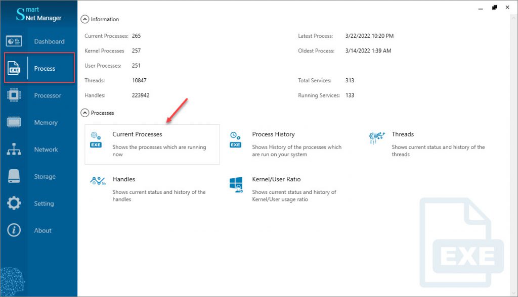 Process tools of Smart Net Manager